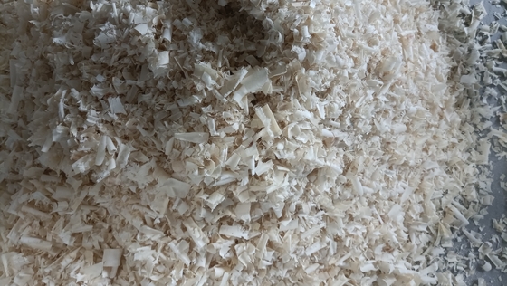Comfortable Wood Shavings Used As Bedding Material For Cows