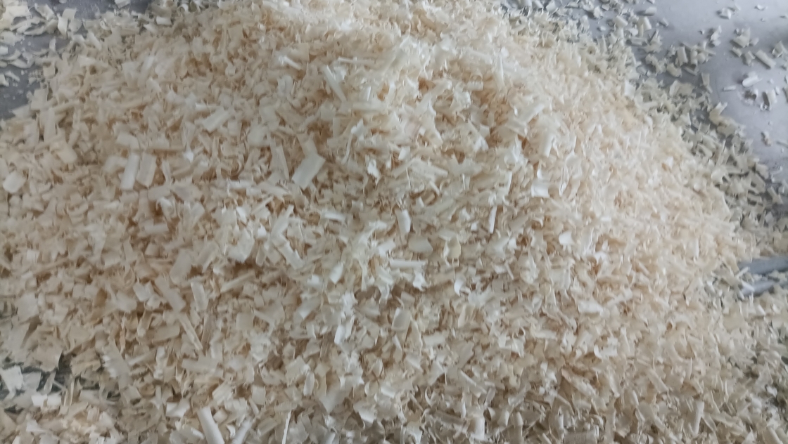 Comfortable Wood Shavings Used As Bedding Material For Cows