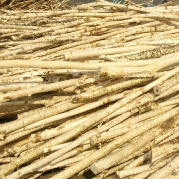 Double Roller 11kw 5t/H Wood Debarking Machine
